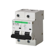 Автоматичний вимикач FB1-125 2P D 20A 10kA ECO Автоматичний вимикач FB1-125 2P D 20A 10kA ECO